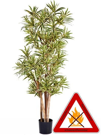 Dracena Reflexa künstlich ca.150 cm, permanent schwerentflammbar